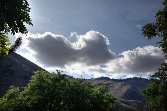 Landscape 2019 #1