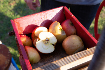 Apples in press