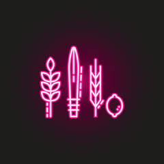 Obraz premium Four Species neon style icon. Simple thin line, outline vector of judaism icons for ui and ux, website or mobile application