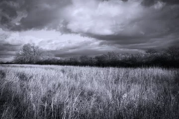 Foto auf Acrylglas Nach Farbe Stimmungsvolle Schwarz-Weiß-Landschaft unter einem dramatischen Himmel.