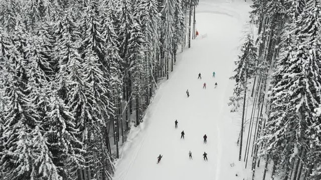 Many skiers and snowboarders descend down the ski slope