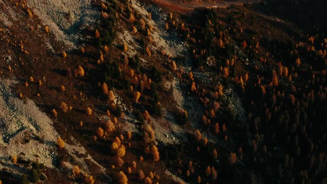 Aerial shot of the enchanting forest in the fall.