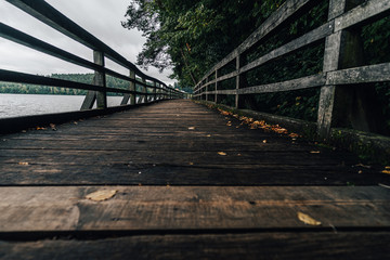 Wooden walkway or bridge on the side of a lake. Old wooden walkway on the banks of a lake. Autumn view of a wooden path and a lake.