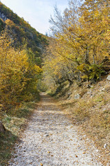 Struilitsa eco path at Devin river gorge, Rhodope Mountains