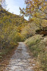 Struilitsa eco path at Devin river gorge, Rhodope Mountains