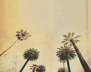 Palm tree vintage style background