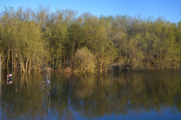 football field next to a forest flooded by rain water 