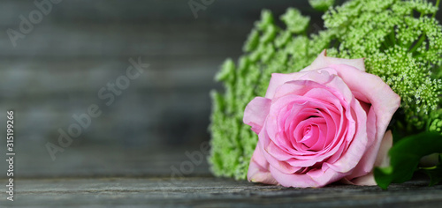 Pink rose on wooden background. Mothers Day background or banner