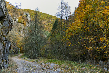 Fototapeta premium Struilitsa eco path at Devin river gorge, Rhodope Mountains