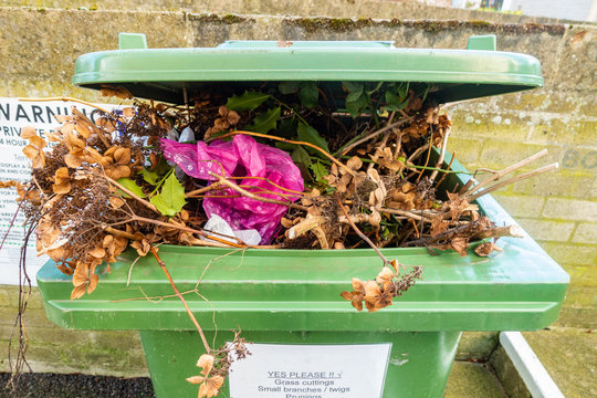 A Green Wheelie Bin Full Of Garden Waste