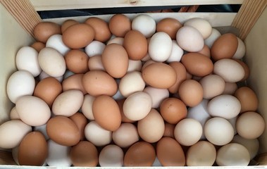 White and beige chicken eggs in a box prepared for Easter
