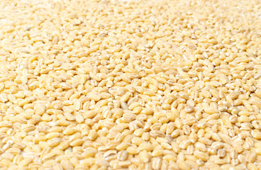 Pearl Barley or Pearled Barley Texture Background Close Up