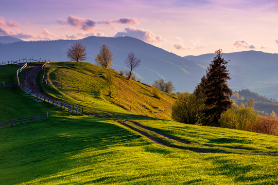 mountainous rural landscape in evening light. wooden fence along the path through rolling hills in fresh green grass. beautiful scenery in springtime. purple clouds on the sky