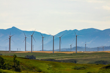 A large wind turbine farm is seen by the Rocky Mountains in Alberta, Canada. Clean renewable and green energy in natural landscape with copy space - obrazy, fototapety, plakaty