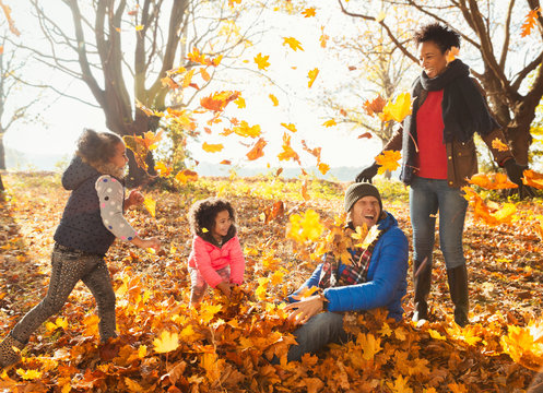 Young family playing in autumn leaves in sunny park