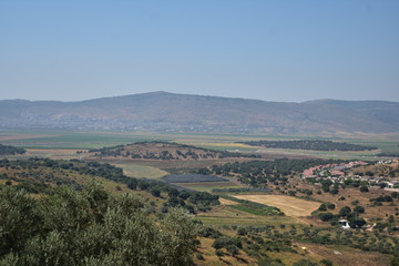 Fototapeta na wymiar Landscape of a green valley from Sepphoris Zippori National Park in Central Galilee Israel
