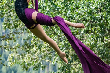 Elegant and graceful arts in nature as an agile woman performs aerial dance with purple fabric suspended against a blurred green tree in woodland, with copy space