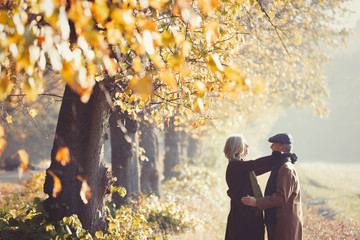 Affectionate couple in sunny autumn park