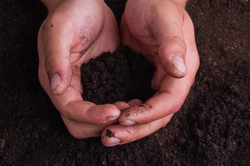Man's hands holding soil heap. Close up.
