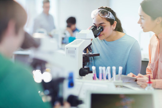 Girl students using microscope, conducting scientific experiment in laboratory classroom