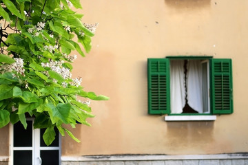 Traditional Mediterranean window with wooden shutters in Split, Croatia. Traditional colorful architectural detail, decorated with plants and flowers.