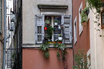 Fototapeta na wymiar Traditional Mediterranean window with wooden shutters in Split, Croatia. Traditional colorful architectural detail, decorated with plants and flowers.