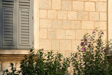 Traditional Mediterranean window with wooden shutters in Split, Croatia. Traditional colorful architectural detail, decorated with plants and flowers.