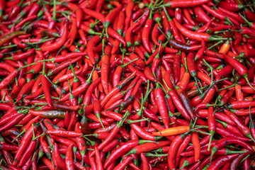 Red hot Chillies on sale