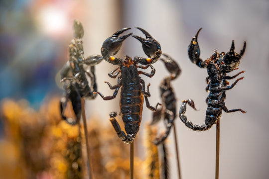Roasted and fried scorpions on skewers