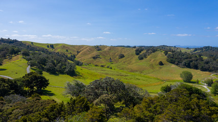 Obraz premium Aerial View from the Beach, Ocean, Mountain, Green Trees of Wenderholm Regional Park in New Zealand - Auckland Area