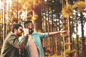 Young men with binoculars bird watching in woods