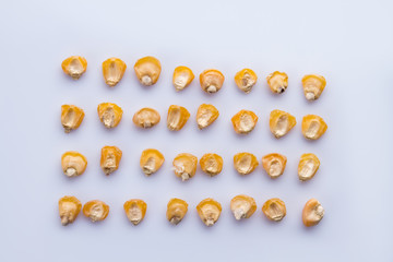 Corn kernel seeds rows. Top view. White isolated background.