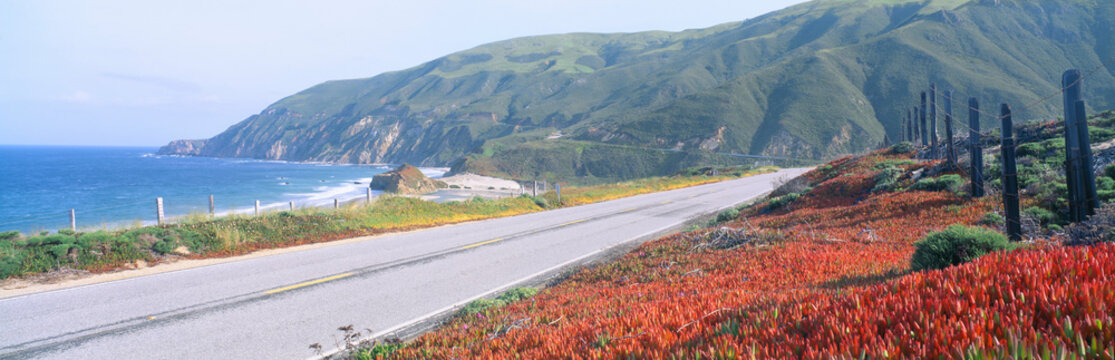 Spring, Route 1, California Coast