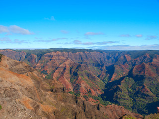 Fototapeta na wymiar Waimea Canyon State Park in Hawaii