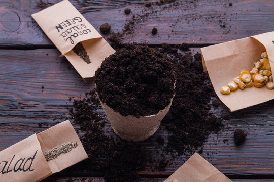 Round fibr pot and different grain seeds. Fertile soil in a container is ready for seeding.