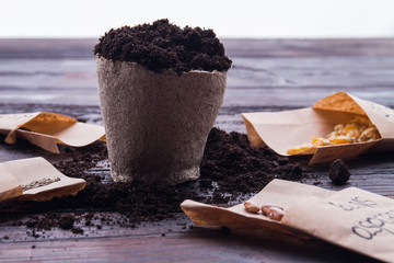 Fibre pot with soil ready for seeding. Close-up small round cardboard container for planting seeds.