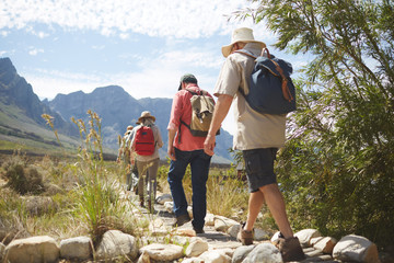 Active senior friends backpacks hiking along sunny summer footpath