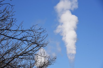 The plume rising from the chimney of the garbage incineration plant.