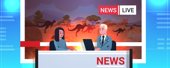 breaking news reporters live brodcasting kangaroo running from forest fires in Australia bush fire global warming natural disaster concept TV studio interior portrait horizontal vector illustration