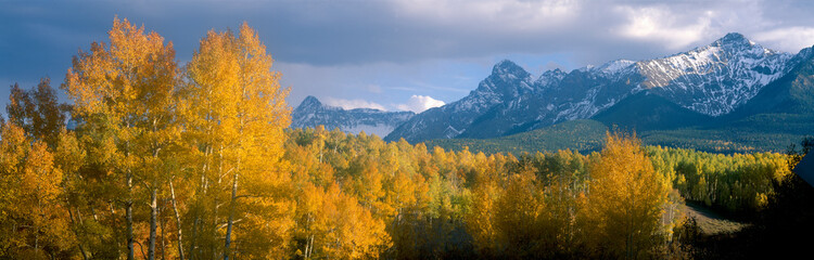 Aspens and clouds at Kebler Pass in Gunnison Nationall Forest, Colorado