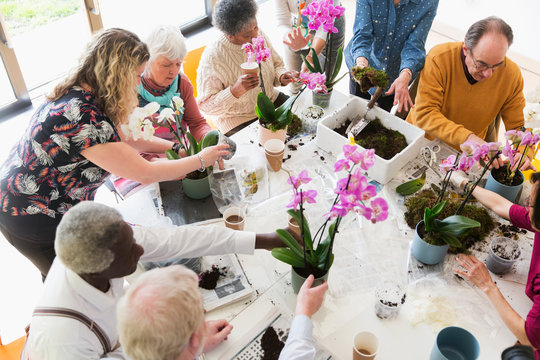 Active seniors enjoying flower arranging class