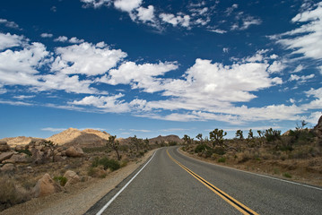Fototapeta na wymiar Desert Highway