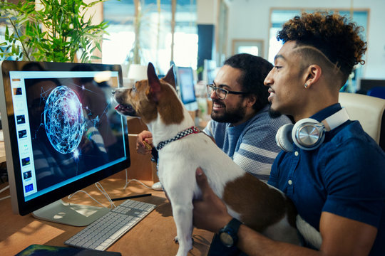 Graphic designers with dog working at computer in office