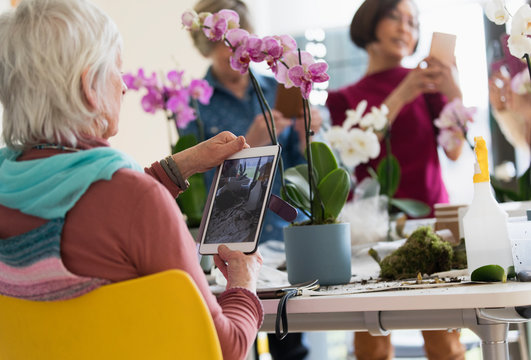 Active senior woman digital tablet photographing orchid in flower arranging class