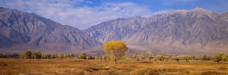 Autumn color along Highway 395, Sierra Nevada, California