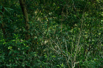 treze de janeiro de dois mil e vinte