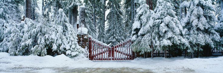 Winter gate after snowstorm, California