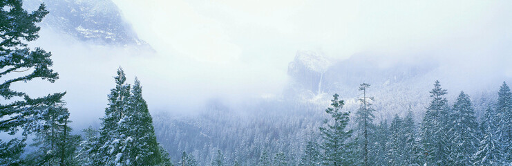 Fototapeta na wymiar Misty mountains in Yosemite Valley, California