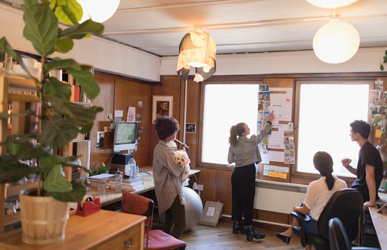 Creative designers with dog brainstorming in office