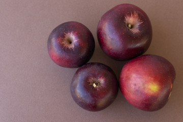 Arkansas Black apples on pastel background